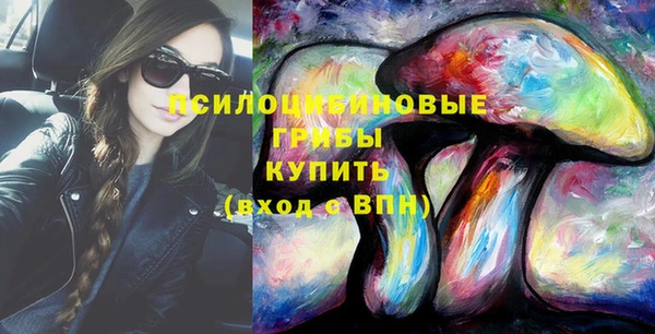 ECSTASY Козельск
